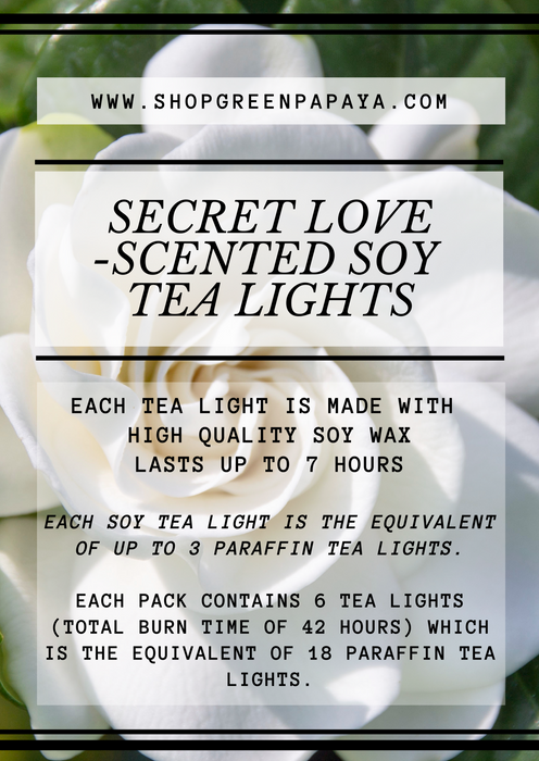 SECRET LOVE - TL