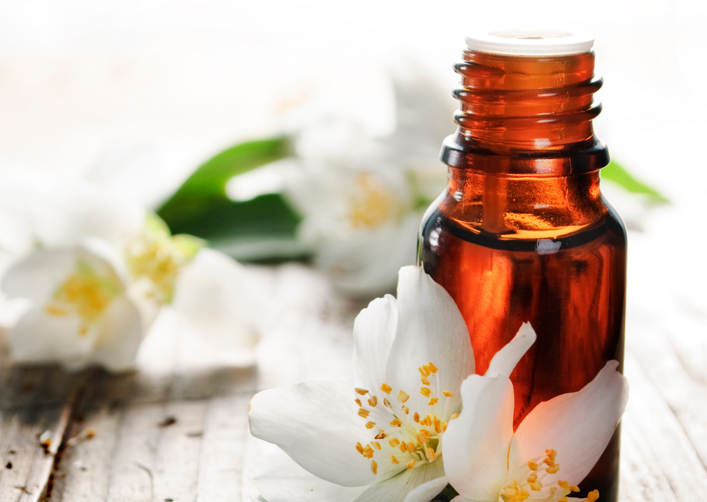 Fragrance Mist - Elegance