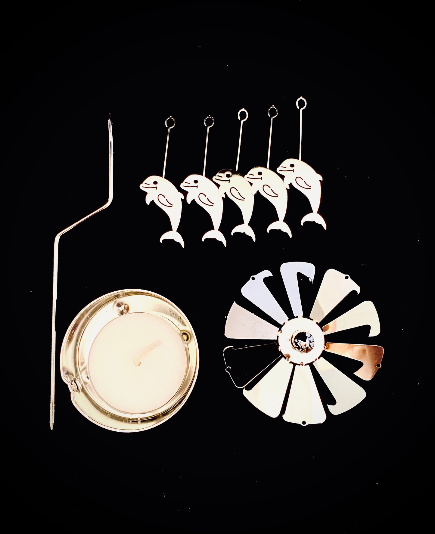 The Carefree Dolphins