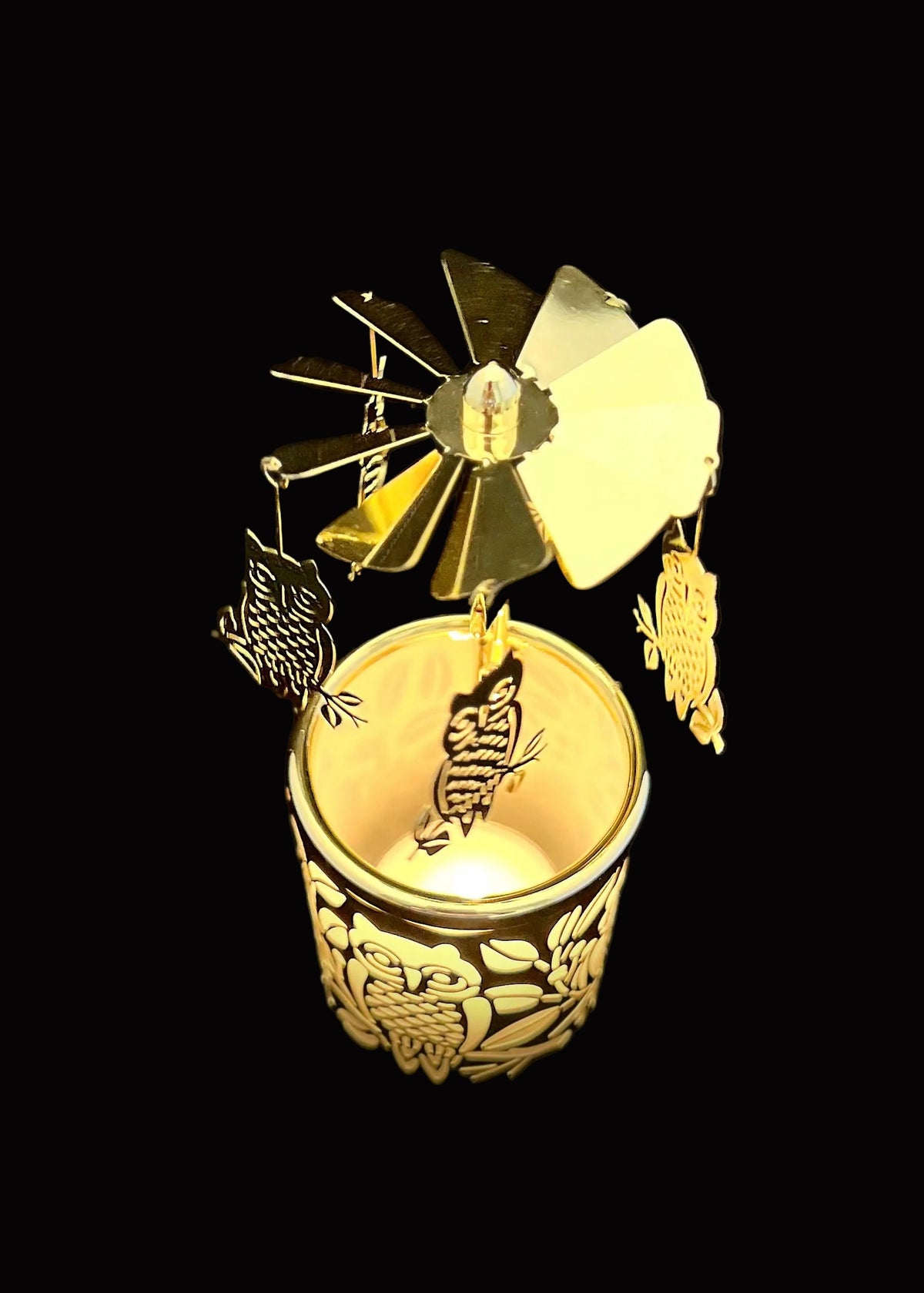 The Snowy Owls - Gold (NEW!)