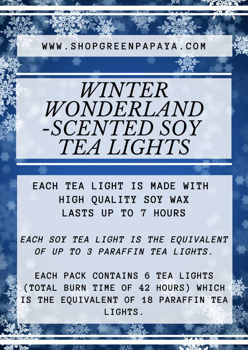 WINTER WONDERLAND - TL