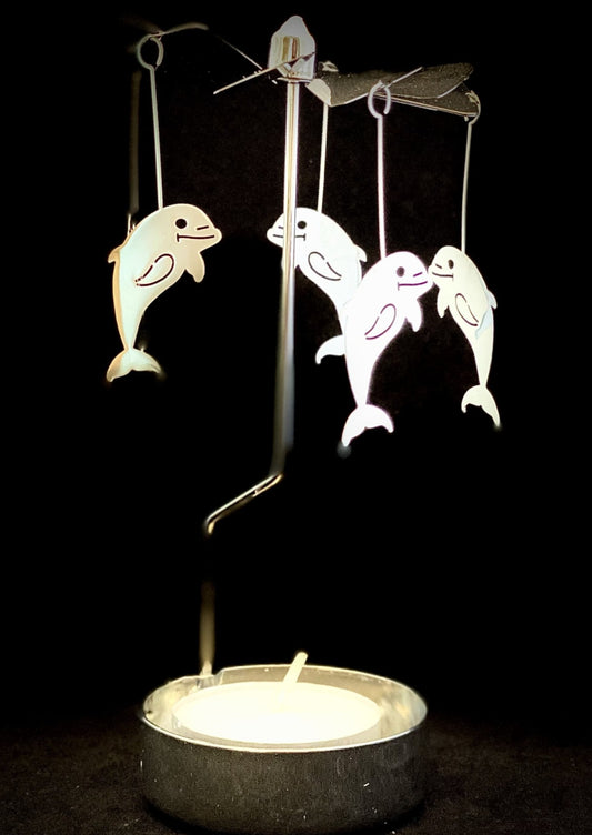 The Carefree Dolphins