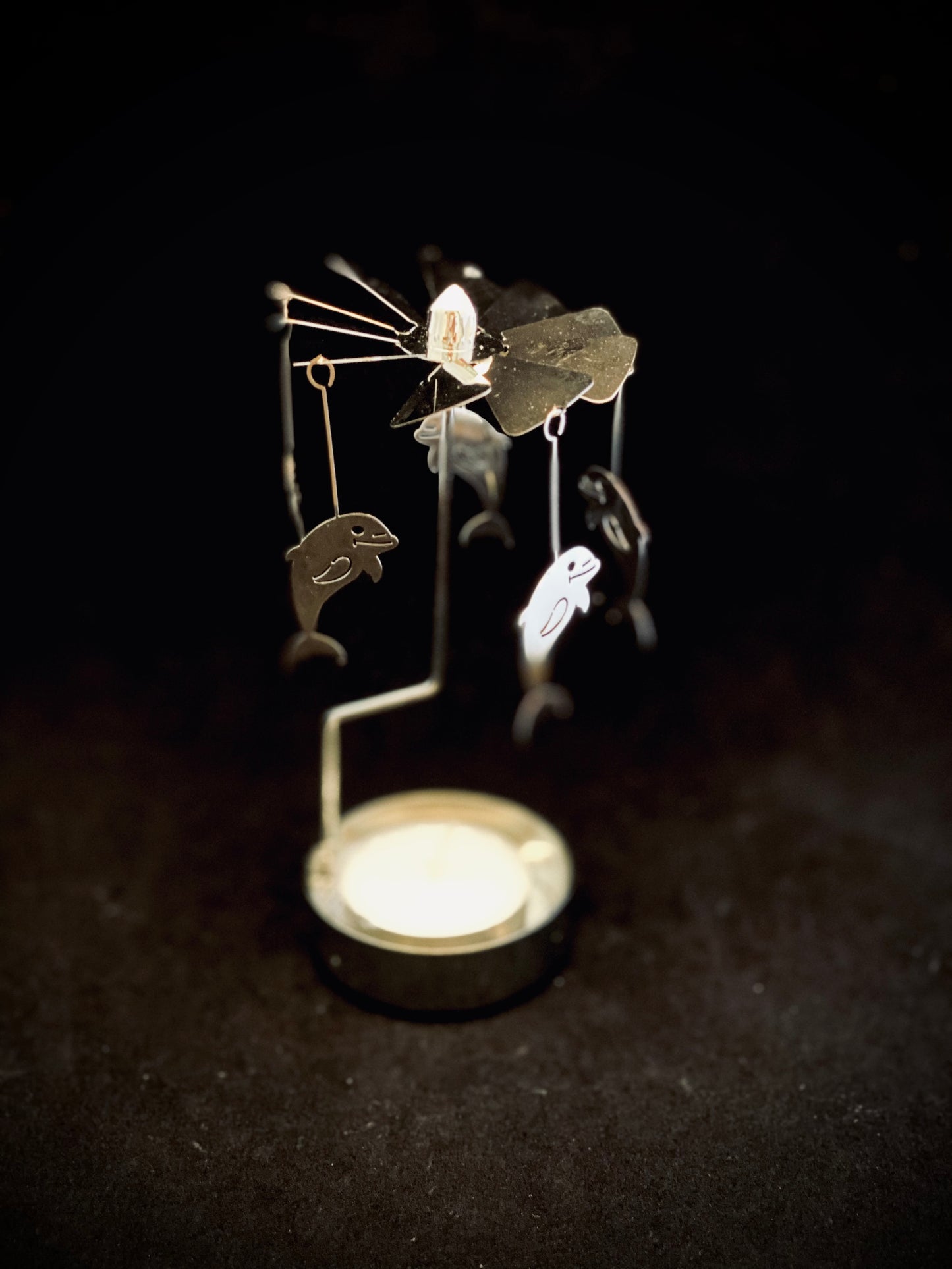 The Carefree Dolphins