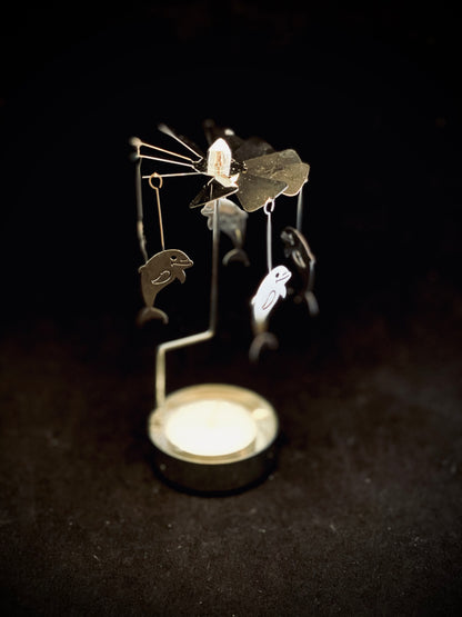 The Carefree Dolphins